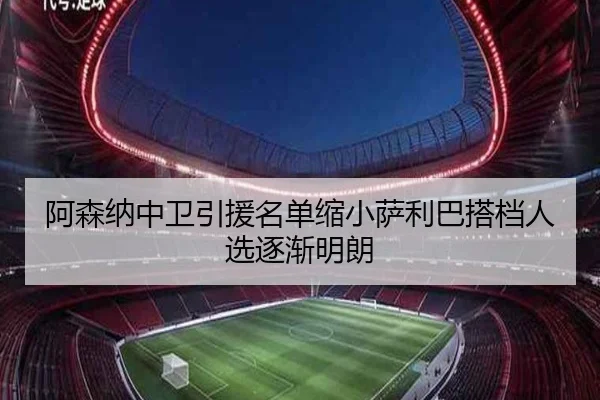 阿森纳中卫引援名单缩小萨利巴搭档人选逐渐明朗